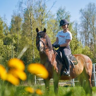 Hevosten kuljettajan ja hoitajan pätevyyskoe